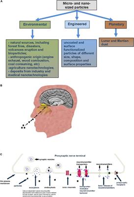 Nervous System Injury in Response to Contact With Environmental, Engineered and Planetary Micro- and Nano-Sized Particles